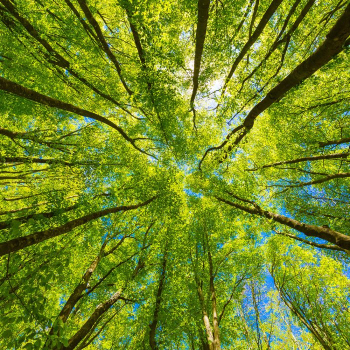 Waste Management in London